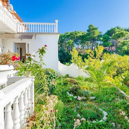 Guest house Mladen P